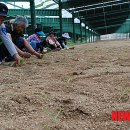 이식태양광발전소 이미지