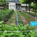 한주아파트 경로당 이미지