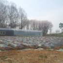 주원(2)농장 이미지