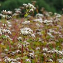 중리보건진료소 이미지