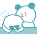달보드레/루체레 네이버블로그