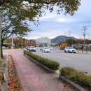 온산로+덕하로 이미지