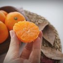 밤이농장 이미지