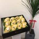 달푸르츠 이미지