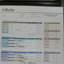 엠스트레이닝 이미지