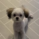 연향동물병원 이미지