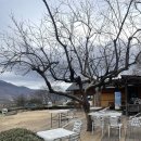 제다원초가집 이미지