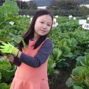 윤인농장 이미지