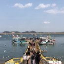 미래수산 | 서산 삼길포항 미래수산식당 회덮밥 물회 주말 방문 후기