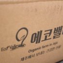 제주 마더 팜