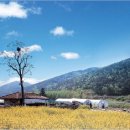 내소사민박 이미지