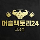 머슬팩토리24 고성점 이미지