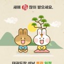 용인대석사참바른태권도