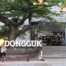 연극 &lt;갈매기&gt; 후기| 안톤 체홉 서거 120주년 오마주 @이해랑예술극장
