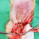 한밭동물병원 이미지