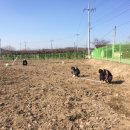 썬2 태양광발전소 이미지