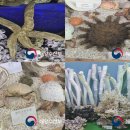 울산해양박물관 이미지