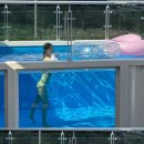 스테이 자이언 이미지