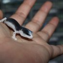 브리딩 팜 이미지