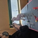 동일포항점 이미지