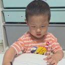 우리가족 블로그 만들기 네이버블로그