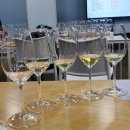 박희성 | 블라인드 테이스팅 수업 후기//와인비전 -박희성 선생님.