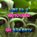 솔빛길가든 네이버블로그