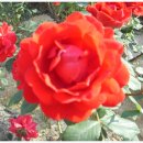 새만금농장 이미지