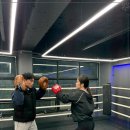 메이져 복싱 이미지