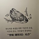 김해고깃집 ::이베리코 김형제고기의철학 장유점