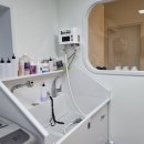 에스티 비숑프리제 이미지