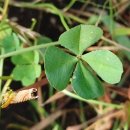 신명나는 삶을 위하여 이미지