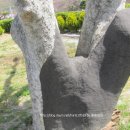 석교초교 이미지