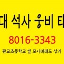 용인대 변동 태권도 이미지