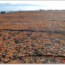 방주목장 이미지