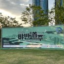 주식회사 나이트런짐 | 부산 2026 야반도주 마라톤 후기 / 부산항북항 친수공원 10km 나이트런