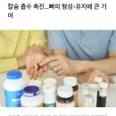 비타민 D, 비타민 B12 복용해야 할 사람은? 이미지