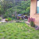 아름다운 그님 이미지