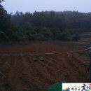 두란농장 이미지