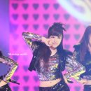 파니파니 Daum카페