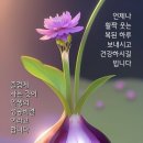 염증없애는 비법 이미지