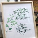 [시민]캘리그라피 이미지