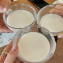 느린오후 | 양재 시민의 숲 술집 느린마을 양조장 내돈내산 리얼후기