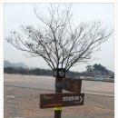 고양누리길 6코스 평화누리길 이미지