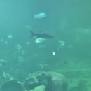 이마트24사천케이블카점 | 📌 아이랑 아이마루, 사천 케이블카