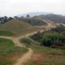 함안 말이산고분군 이미지