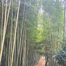 남도삼백리길(8코스) | 전남 강진 가볼만한곳 남도의 맛과 멋 당일치기 여행코스Best4