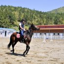 한국말산업고등학교 이미지