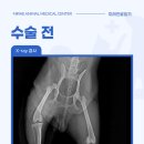 미래종합동물병원 이미지