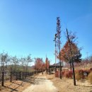 정자세천 이미지